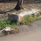 Nel giugno 2006 il menhir fu per� danneggiato e gettato per terra da ignoti. E il mese dopo qualcuno cerc� con un camion di portarselo via: un furto che fu sventato dai carabinieri di Trani. Questo fino al suo definitivo trafugamento, avvenuto nel 2007 (foto di Pasquale Fallacara)